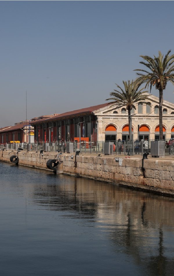 This image for Image Layouts addon